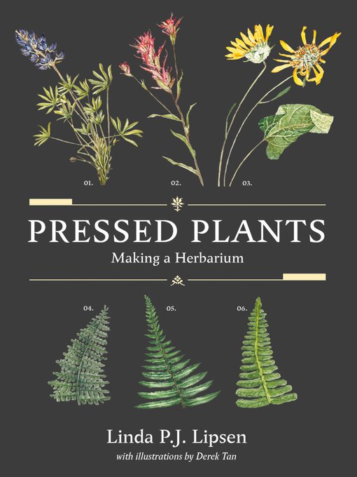 Title details for Pressed Plants by Linda P.J. Lipsen - Available